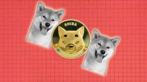 Missed Shiba Inu? Here are 10 Alternatives You can Choose From