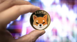 Shiba Inu Leaking the AWS Credentials might be a Publicity Stunt